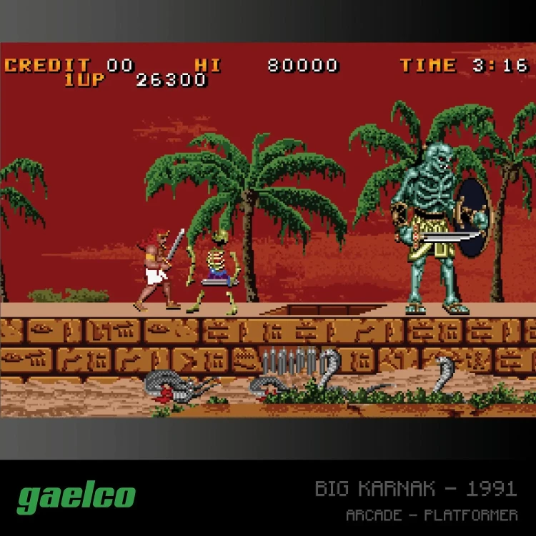 evercade-gaelco-arcade-2,105155203201_5 (2).webp