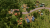 Tropico 7 - Screenshot 7.png