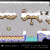 Blaze_Retail-Assets-THALAMUS-Collection-116.png