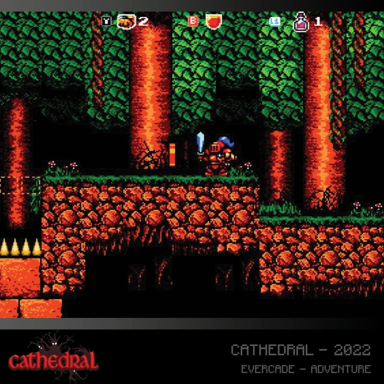 Zestaw-gier-EVERCADE-Alwas-Awakening-i-Cathedral-gameplay4.jpg
